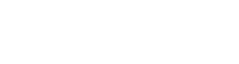 Vanguard Orbit Logo